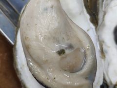特色木盖蒸生蚝-蚝得喜海鲜(东城店)