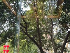 -浙江西子宾馆·瑶园咖啡厅