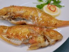 -双生不夜粥