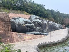 -三水森林公园