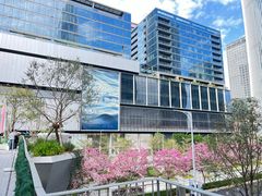 -深圳湾万象城(南山店)