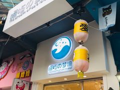 -猫咪博物馆(顶澳仔猫街店)