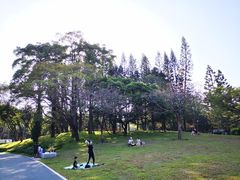 -四海公园(南山区)