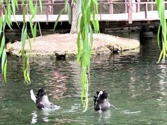 -水磨沟公园