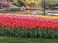 -西宁市人民公园(城西区)