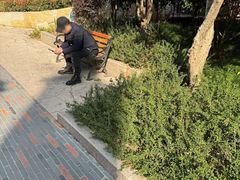 -上海交通大学医学院附属瑞金医院(总院)