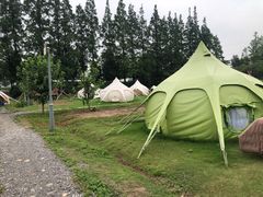 -前小桔亲子创意农场·草莓采摘·露营烧烤