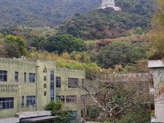 -深圳仙湖植物园