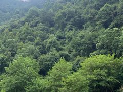 -千岛湖白云溪漂流