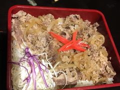 -春草居酒屋·晴子の店