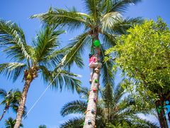 -三亚亚龙湾天域度假酒店