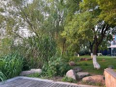-九里河湿地公园