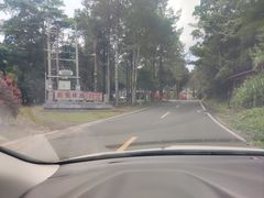 -海南热带雨林国家公园吊罗山景区