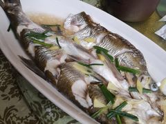 清蒸白鱼-观桥阁(锦溪店)