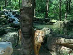 -北京野生动物园