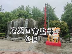 -合肥滨湖国家森林公园