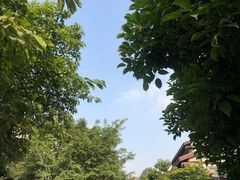 -龙潭水乡