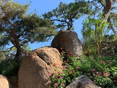 -罗红摄影艺术馆