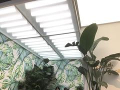 -丹礼糖甜品