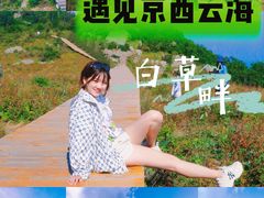 -白草畔自然风景区