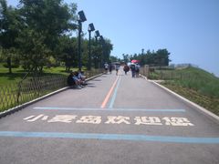 -小麦岛公园