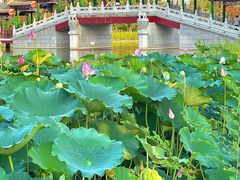 -西海子公园