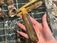 -浩运·海鲜青岛菜·海胆水饺(石老人店)