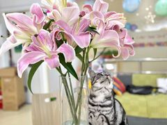 -彩翼美术馆(方庄校区)