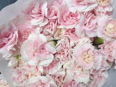 -循礼门鲜花花市(武汉循礼门店)