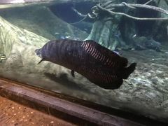 -大连圣亚海洋世界