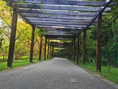 -九龙潭景区