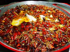 -雲蜀龙阁·金牌水煮鱼(方庄店)