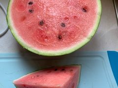 -南汇新场正宗水蜜桃采摘