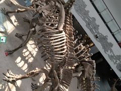 -中国地质大学逸夫博物馆