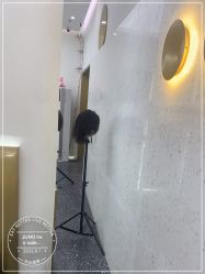 -JUNO hair salon