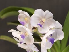 -北京植物园-展览温室