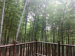 -陶祖圣境风景区