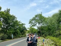 -同里国家湿地公园