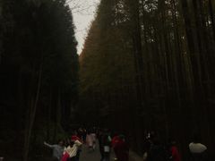 -山王坪喀斯特国家生态公园