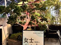 -STARRY CAFE & LOUNGE BAR(高新店)