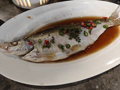 明火鲈鱼-绿茶餐厅(天津天河城店)