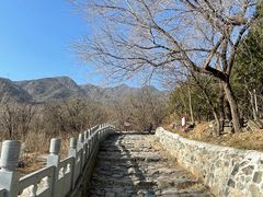 -阳台山自然风景区