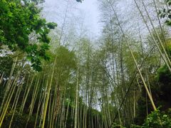 -林坑古村落