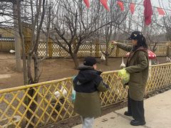 -1982农场