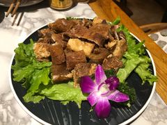 -杨家火锅(国美店)