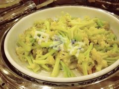 -泉城欧乐堡戏水湾艺术养生温泉