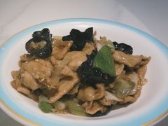 -凯鸽酒楼(大同振兴街店)