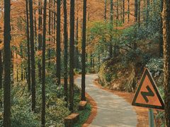 -莫干山风景区