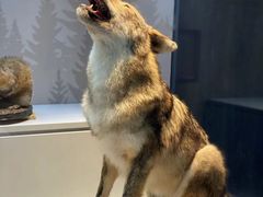 -贝林大翅鲸简餐厅(国家海洋博物馆店)