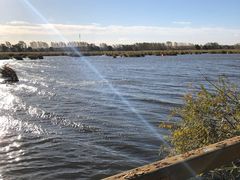 -白渔泡湿地公园